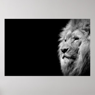 Affiche Portrait de Lion noir blanc - Photographie d'anima