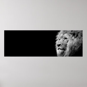 Affiche Portrait de Lion noir blanc - Photographie d'anima