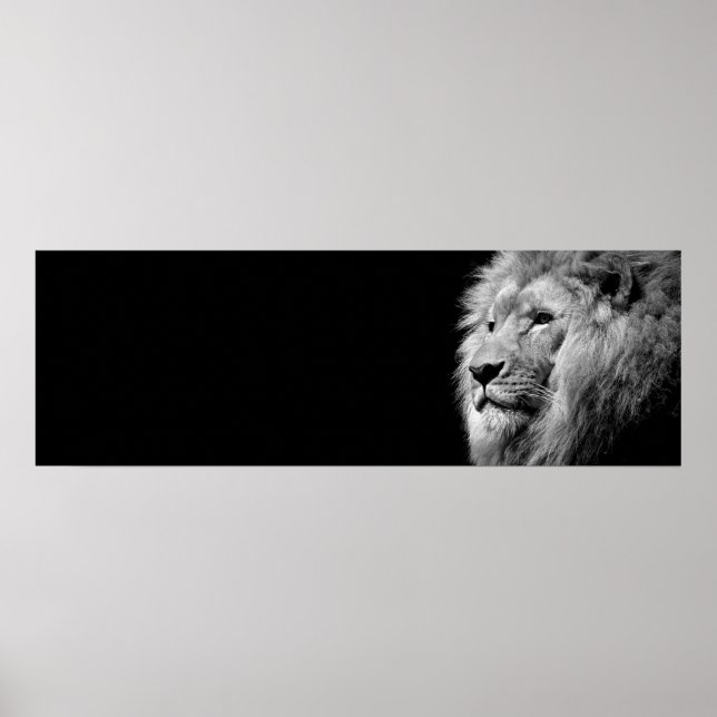 Affiche Portrait de Lion noir blanc - Photographie d'anima (Devant)