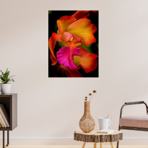 Affiche Portrait de l'orchidée de Cattleya