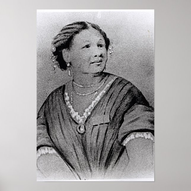Affiche Portrait de Mary Seacole (Devant)
