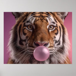 Affiche Portrait de tigre du Bengale soufflant un bubble-g