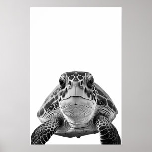 Affiche Portrait de tortue marine moderne noir blanc  