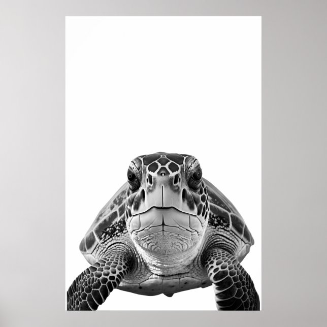 Affiche Portrait de tortue marine moderne noir blanc   (Devant)