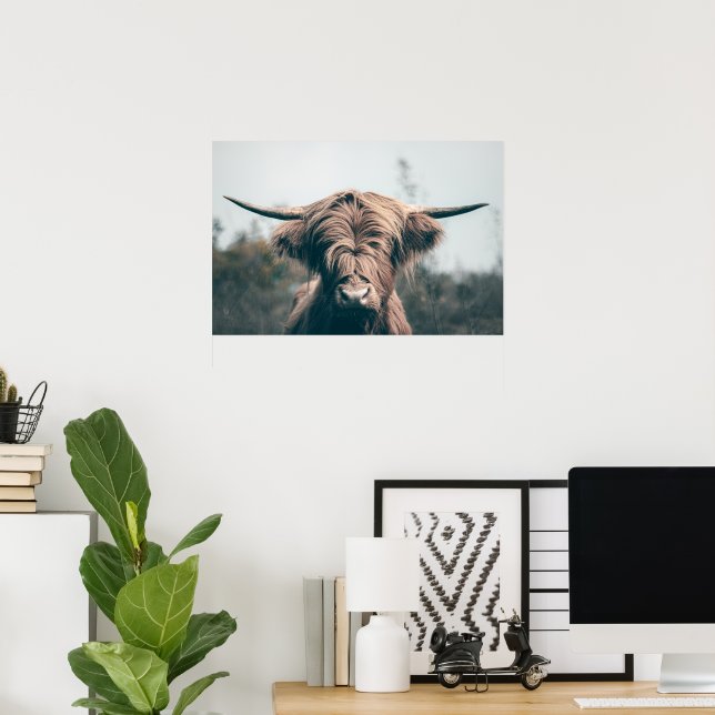 Affiche Portrait de vache highland (Bureau à domicile)