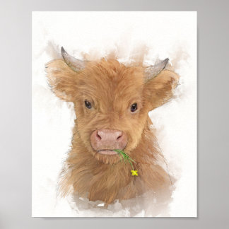 Affiche Portrait de veau de vache Highland