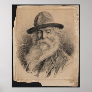 Affiche Portrait de Walt Whitman de poète par la valéria