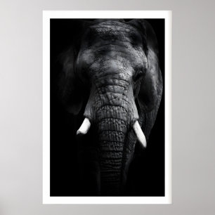 Affiche Portrait d'éléphant imprimé, noir et blanc, défens