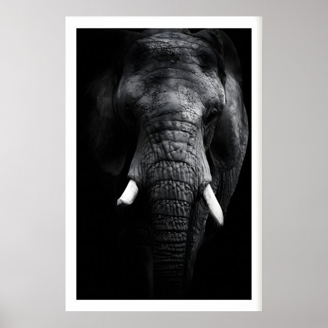 Affiche Portrait d'éléphant imprimé, noir et blanc, défens (Devant)