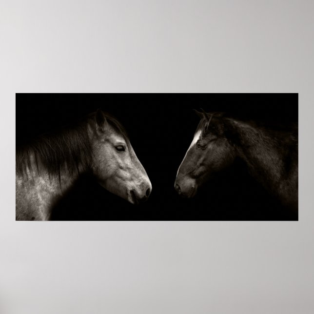 Affiche Portrait des chevaux (Devant)