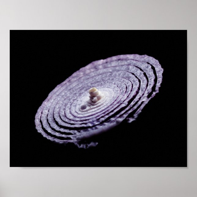 Affiche Portrait d'oignon rouge (Devant)