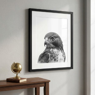 Affiche Portrait d'oiseau Buse à queue rouge Noir blanc