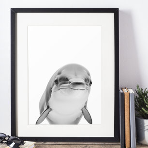 Affiche Portrait Dolphin moderne noir blanc