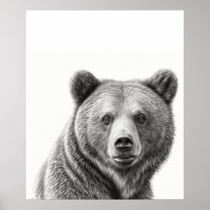 Affiche Portrait d'ours grizzli noir blanc