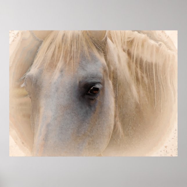 Affiche Portrait du cheval blanc (Devant)