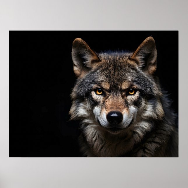Affiche Portrait du loup (Devant)