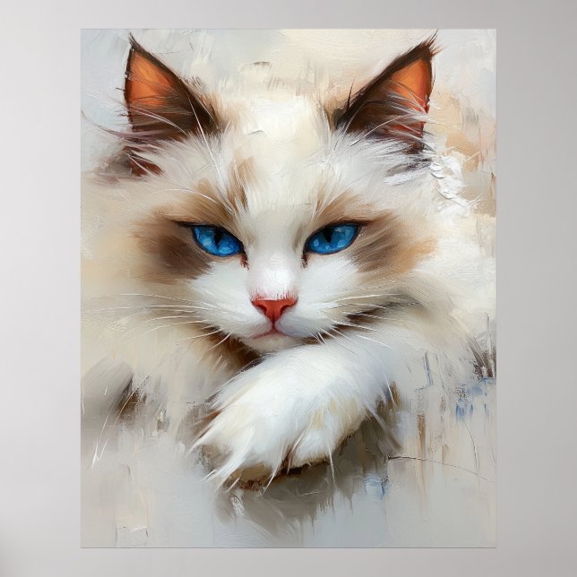 Affiche Portrait d'un chat Ragdoll charmant aux yeux bleus (Devant)