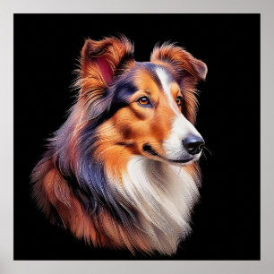 Affiche Portrait d'un collie