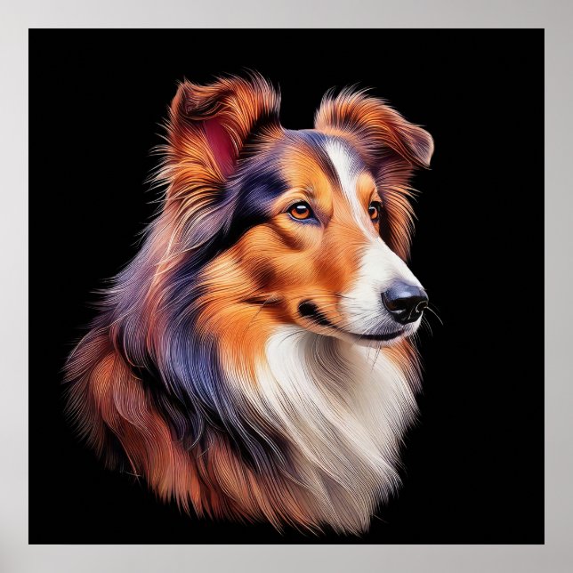 Affiche Portrait d'un collie (Devant)