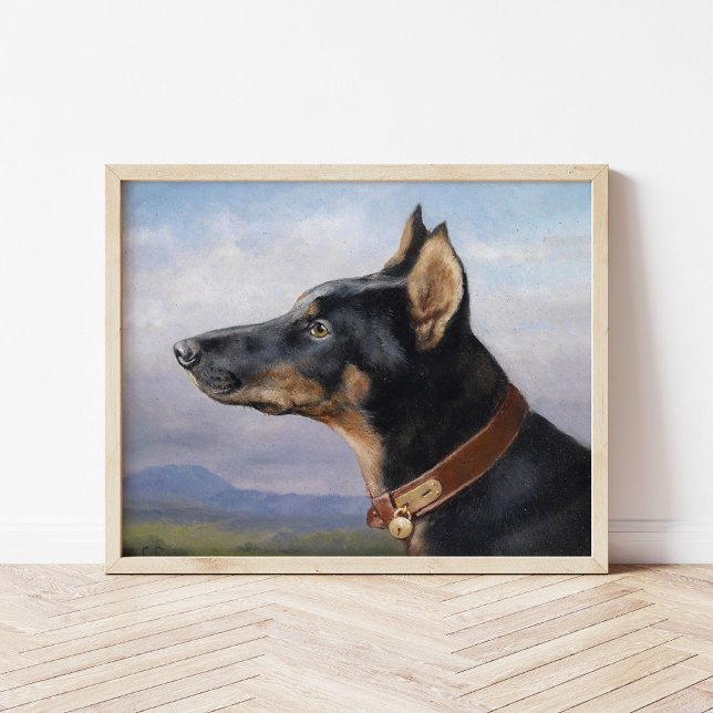 Affiche Portrait d'un Doberman | Carl Reichert (Créateur téléchargé)