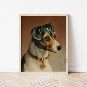Affiche Portrait d'un Jack Russel Terrier   Carl Reichert