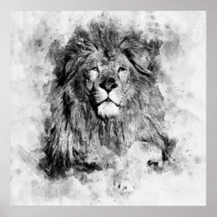 Affiche Portrait d'un lion mâle en aquarelle noir et blanc