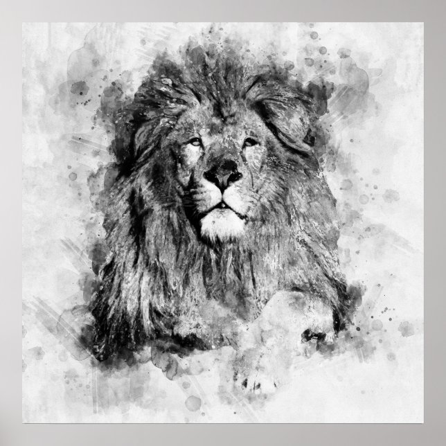 Affiche Portrait d'un lion mâle en aquarelle noir et blanc (Devant)