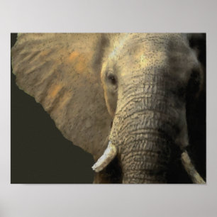 Affiche Portrait éléphant