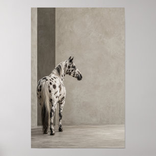 Affiche Portrait équestre minimaliste de cheval blanc tach