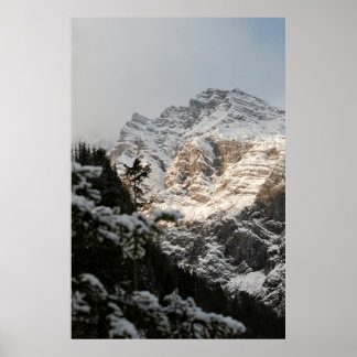 Affiche Portrait Illustration Design