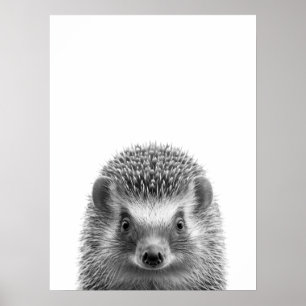 Affiche Portrait Moderne de la Forêt de Hérissons noir bla