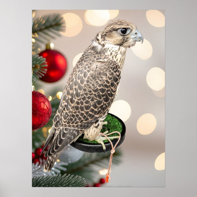Affiche Portrait Of A Hunting Falcon Real Photo (Devant)
