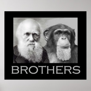 Affiche Portrait of Charles Darwin and Ape