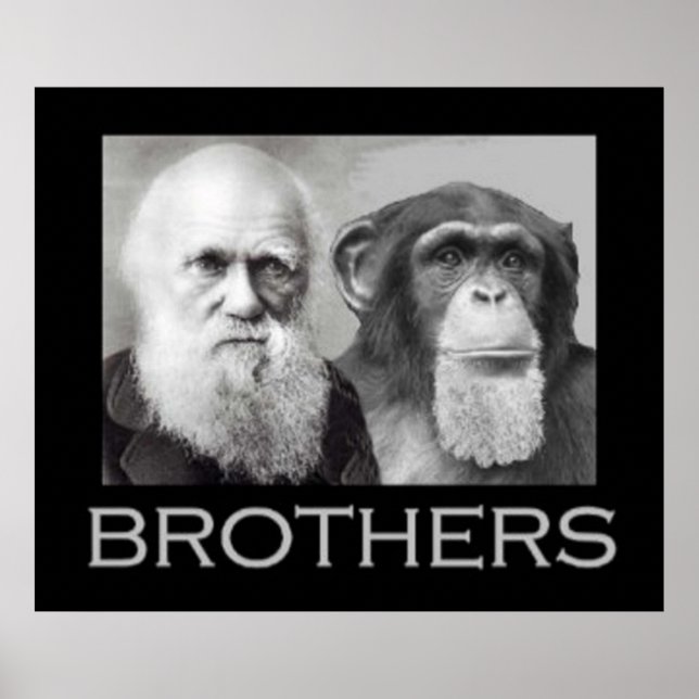Affiche Portrait of Charles Darwin and Ape (Devant)