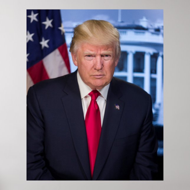 Affiche Portrait officiel de Donald Trump (Devant)