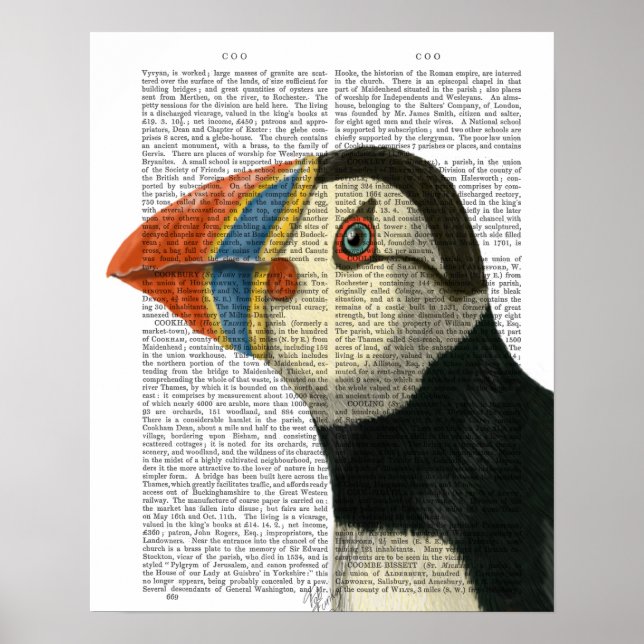 Affiche Portrait Puffin (Devant)