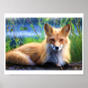 Affiche Portrait Red Fox D'Une Peinture Aquarelle