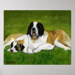 Affiche Portrait Saint Bernard Dog