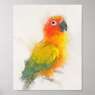 Affiche Portrait Sun Conure
