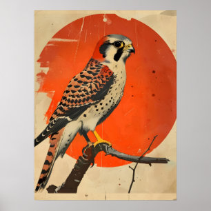 Affiche Portrait vintage de la Kestrel américaine