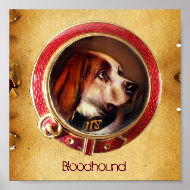 Affiche PORTRAITS DE CHIEN DE MINIATURE VICTORIENNE Bloodh (Devant)
