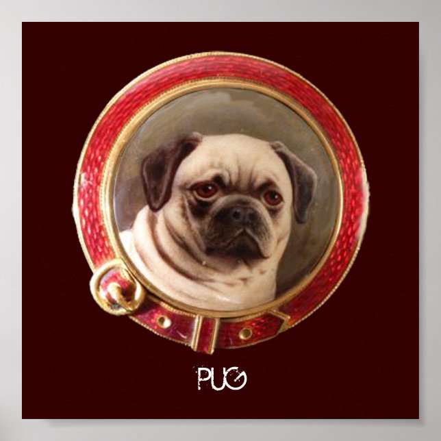 Affiche PORTRAITS MINIATURES DE CHIENS VICTORIENS Pug (Devant)