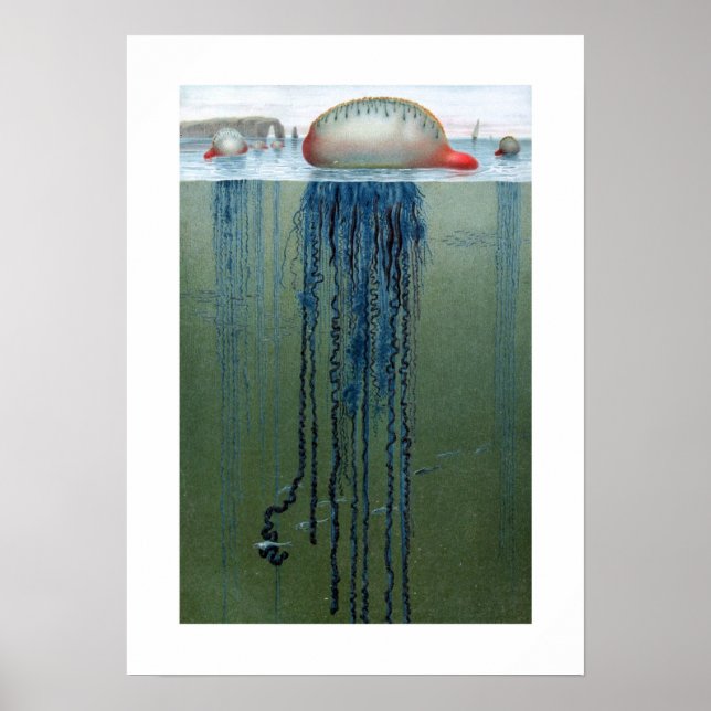 Affiche Portugais de la guerre (Devant)