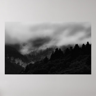 Affiche Pose au-dessus de la forêt