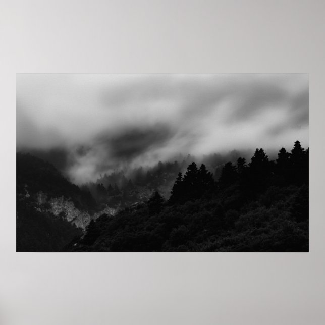 Affiche Pose au-dessus de la forêt (Devant)