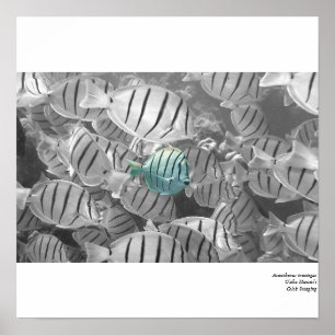 Affiche Position de la foule