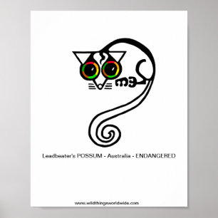 Affiche Possum -