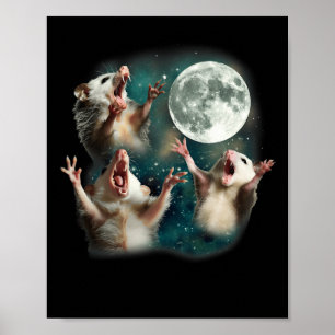 Affiche Possum Moon 3 Opossum Drôle Mème Maudit bizarre