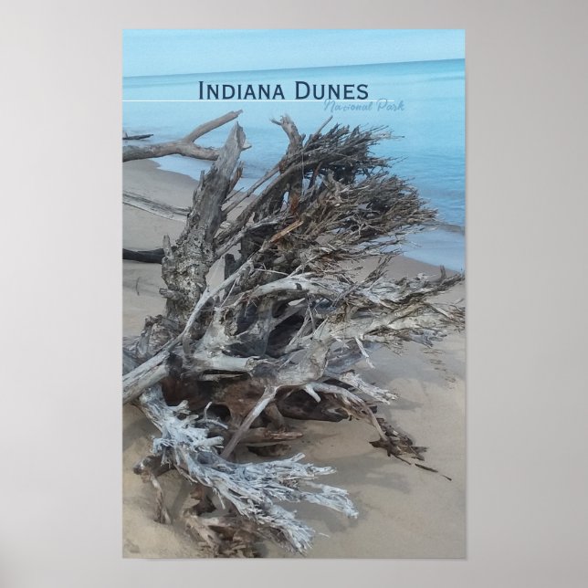 Affiche Post du magazine du parc national des Dunes d'Indi (Devant)