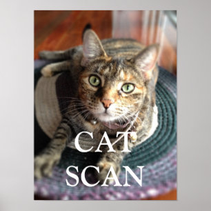AFFICHE POSTE D'ANALYSE CAT